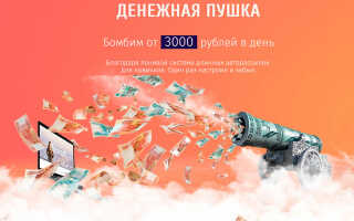 Обзор курса Денежная Пушка Константина Руднева