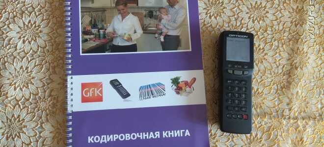 Заработок на покупках: сканирование товаров на дому