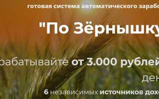 Курс по Зёрнышку — система автоматического заработка от 3000 рублей в день Обзор курса + ПРОМО КОД
