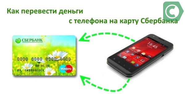 узнать кредитную историю по номеру