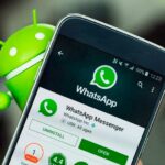 Как заблокировать контакт в Whatsapp: пошаговая инструкция